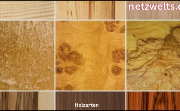 Holzarten im Überblick: Die richtige Wahl für jedes Projekt Holzarten