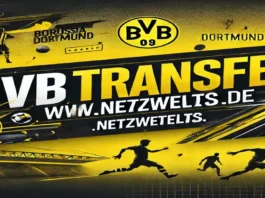 BVB Transfer