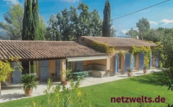 Mittelmeer Zypresse: Mediterranen Flair in Ihren Garten bringen