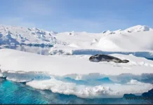 Polarwirbel Antarktis & Polarwirbel: Ein faszinierendes Naturphänomen Polarwirbel Antarktis