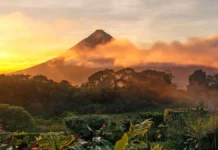 Costa Rica: Ihr ultimativer Reiseführer für Pura Vida Costa Rica